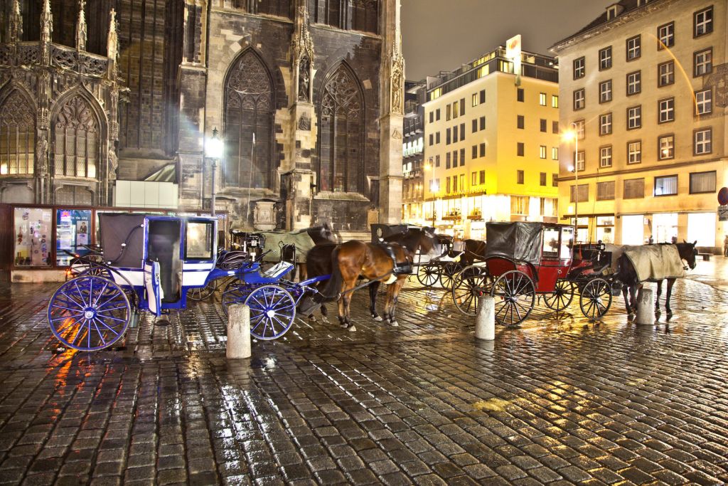 Stephansplatz horse driven carriage