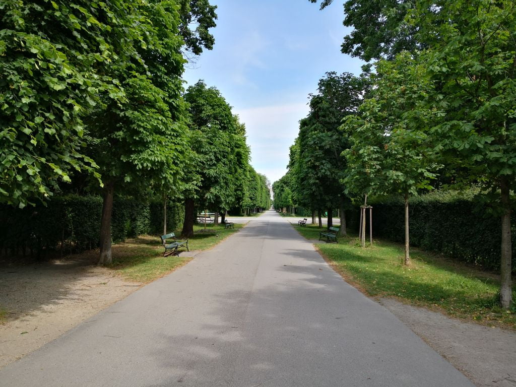 One of several avenues in Augarten