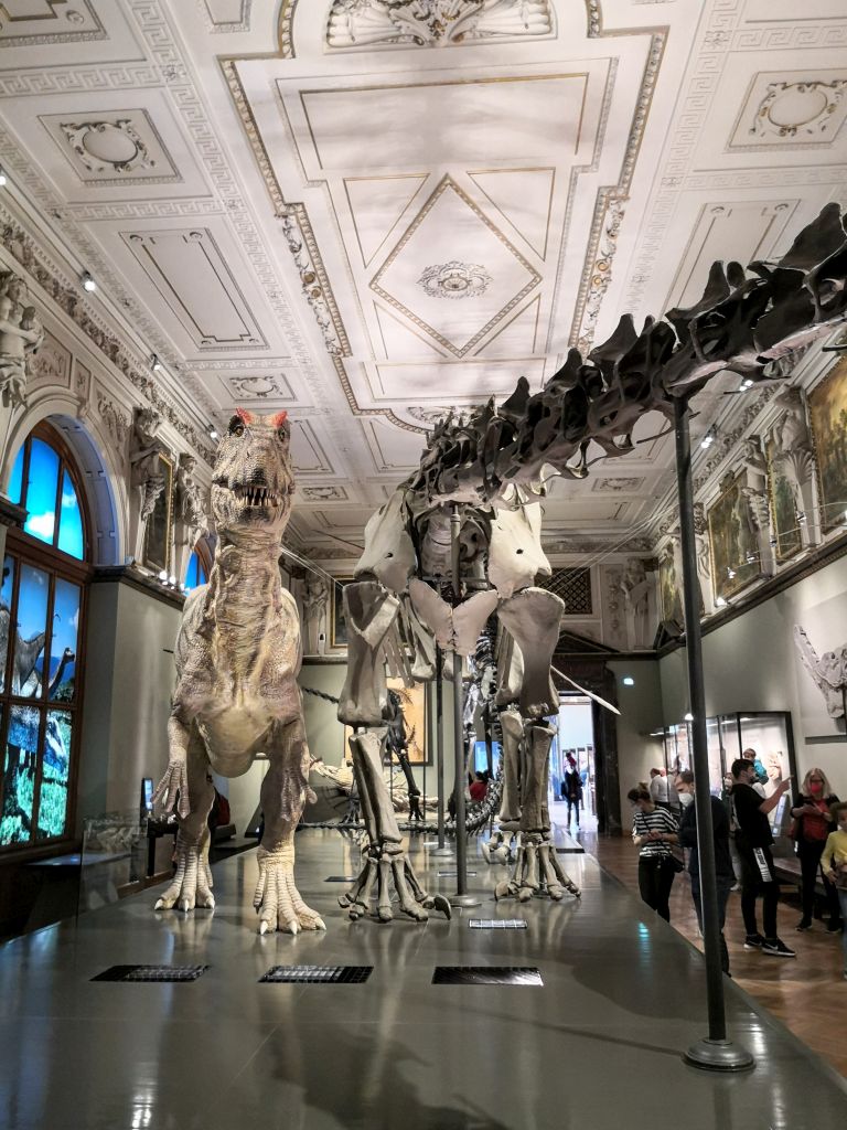 Dinosaurs collection - Natural History Museum Vienna
