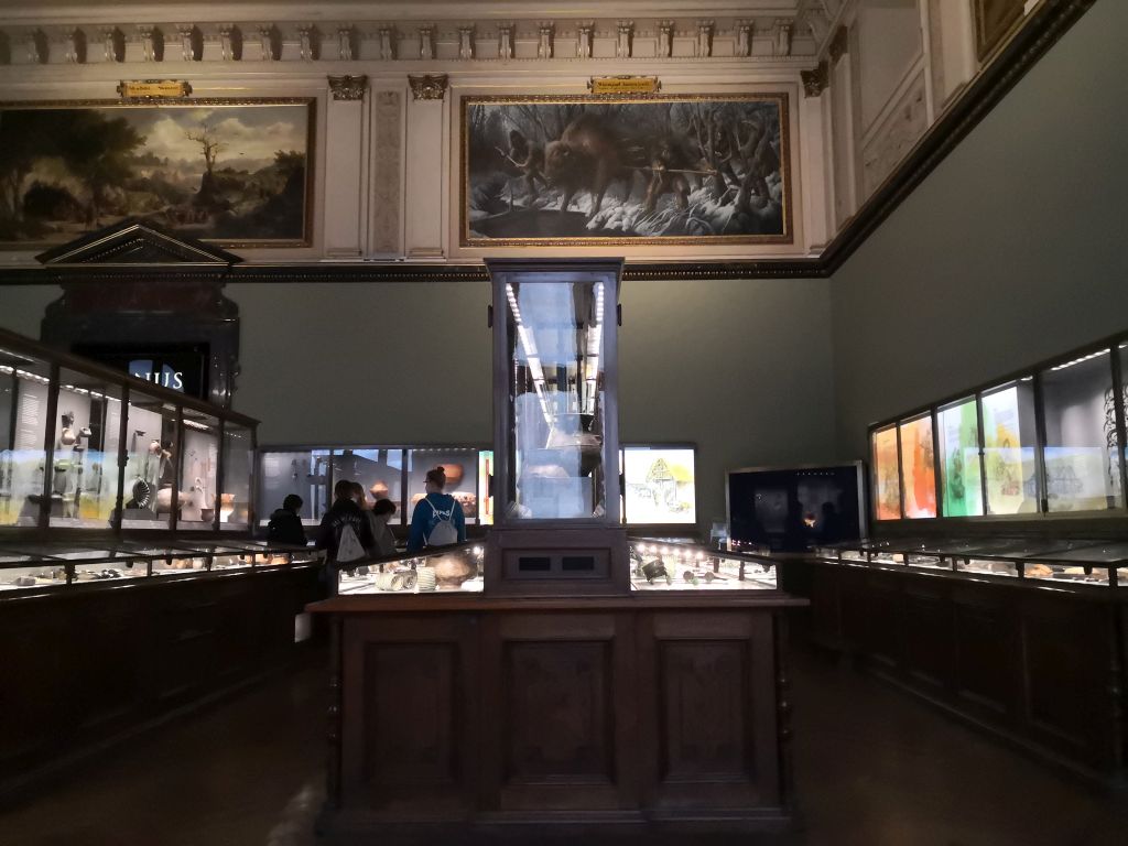 One of the galleries - Natural History Museum Vienna