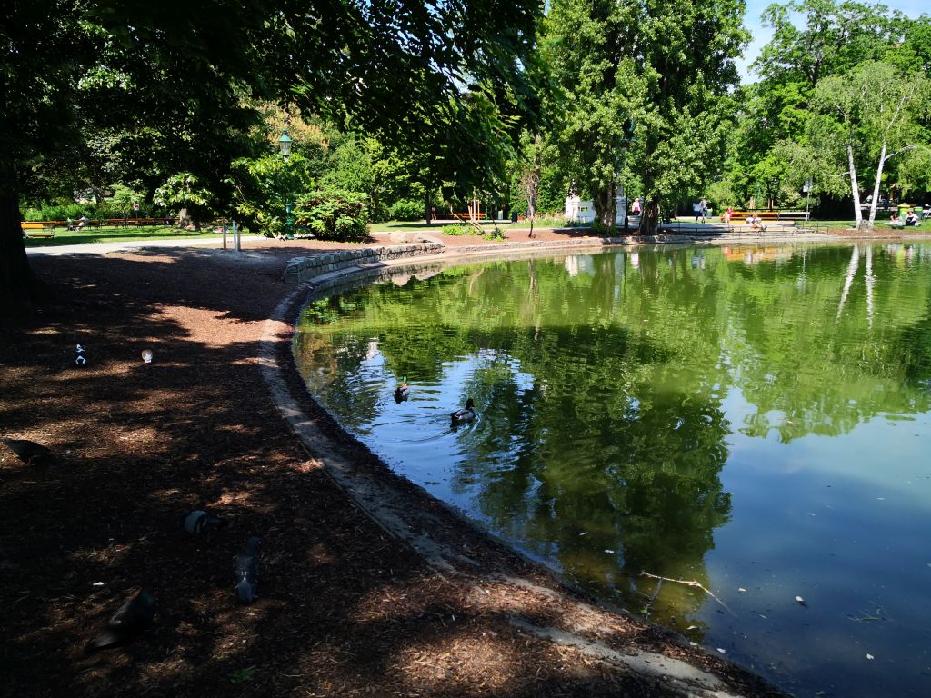 Stadtpark - the pond