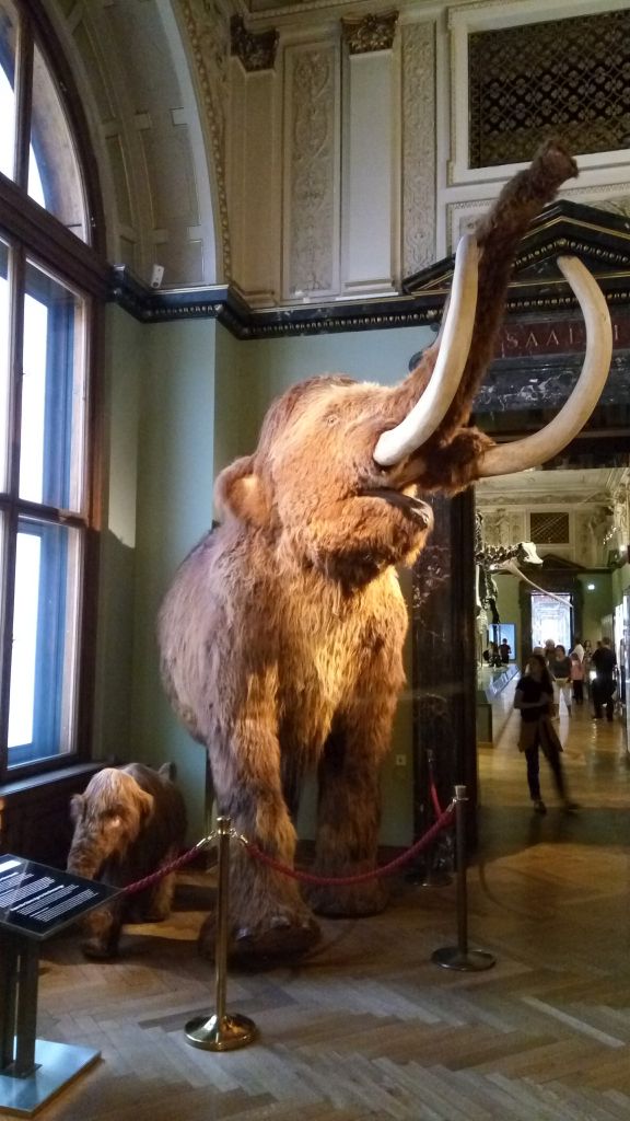 Woolly Mammoth - Natural History Museum Vienna