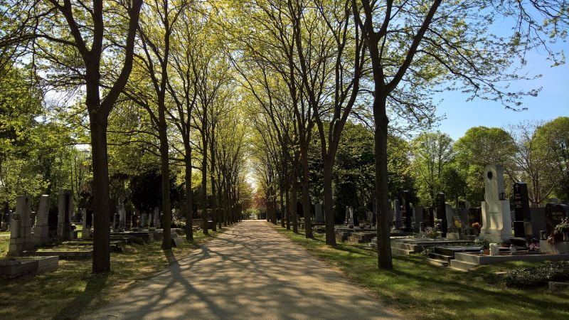 Wiener Zentralfriedhof