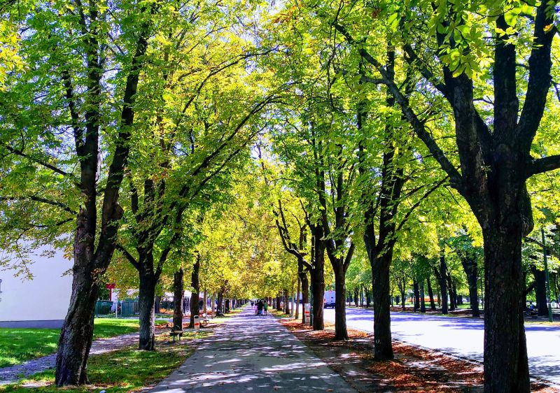 Prater promenade