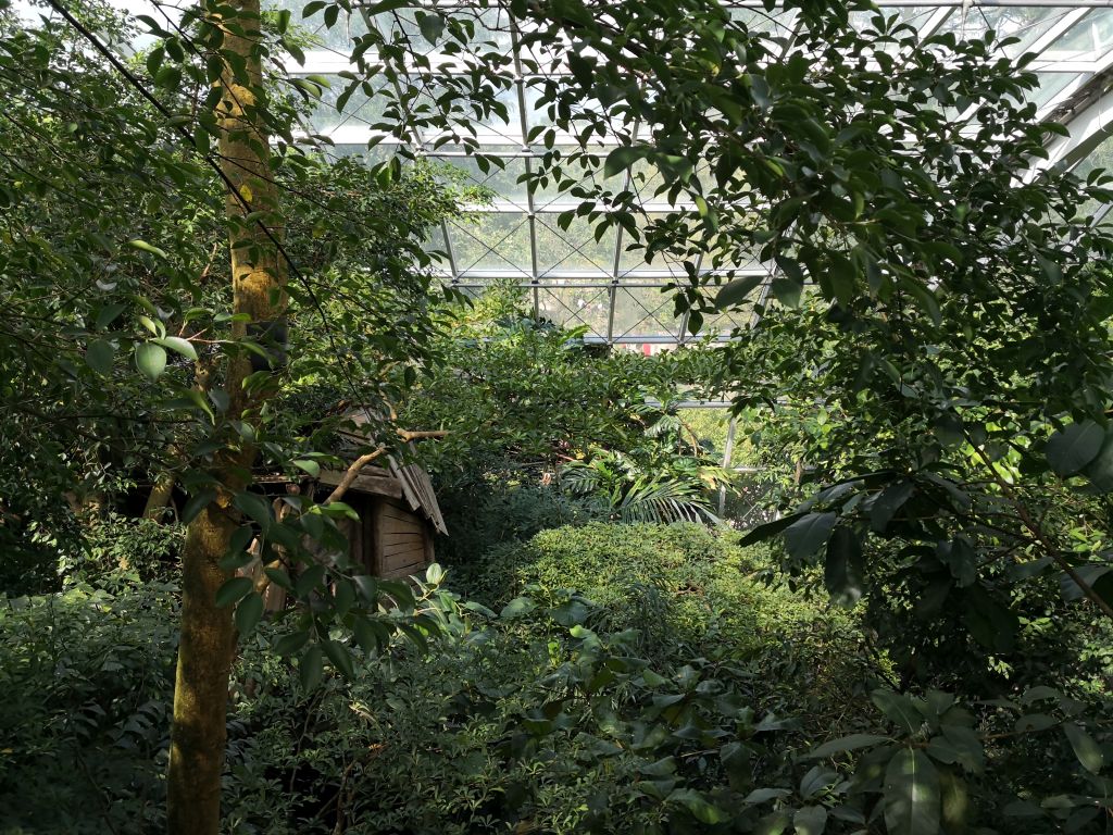 Schönbrunn Zoo - Rainforest house