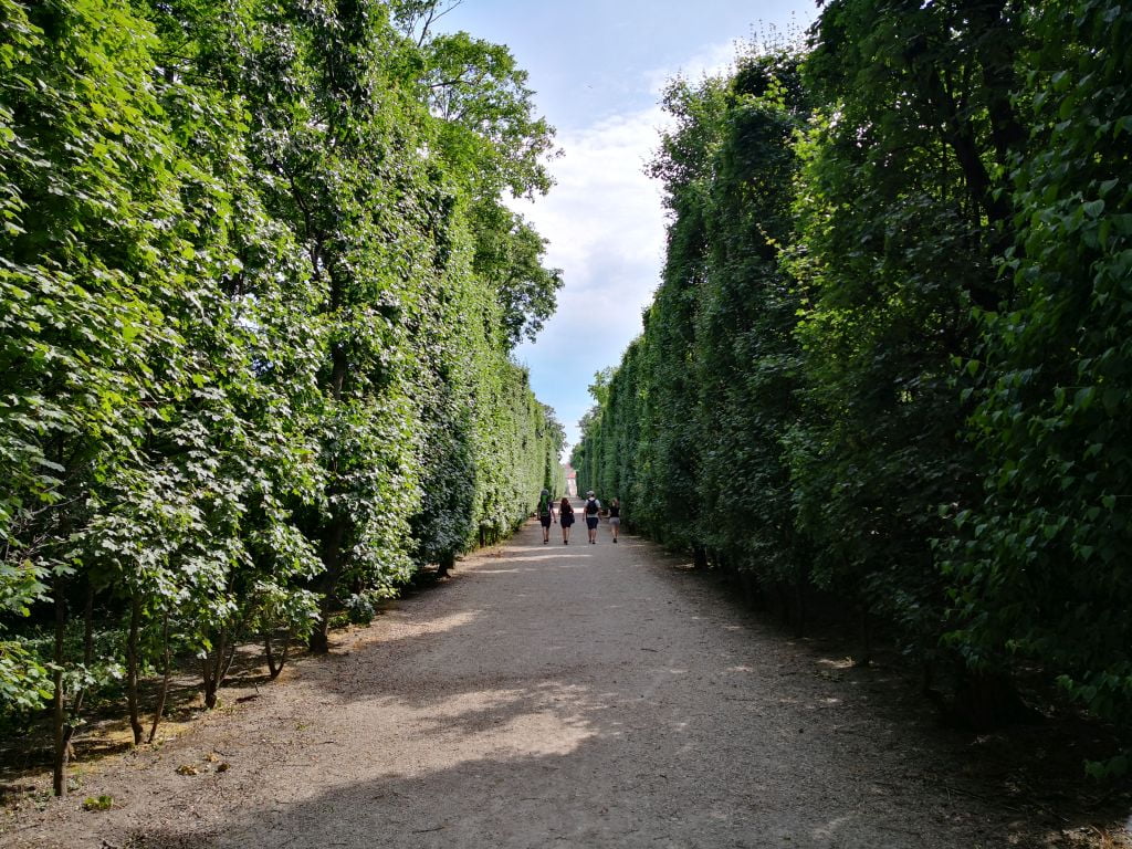 Another avenue in Augarten