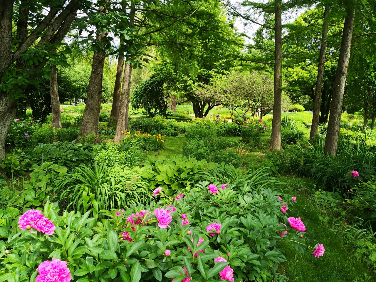 Donau Park - Vienna's urban green oasis